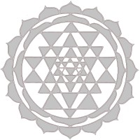 Shyam Distributors