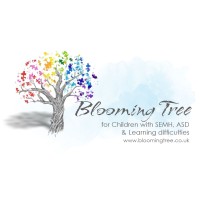 The Blooming Tree ABA Clinic & Schools
