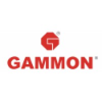 Gammon Infrastructure Projects Limited